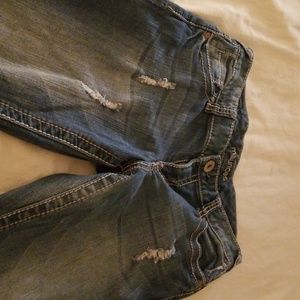 Maurices distressed jeans